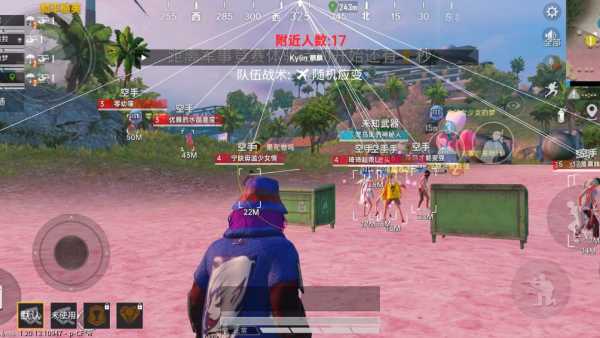 手机和平精英辅助透视